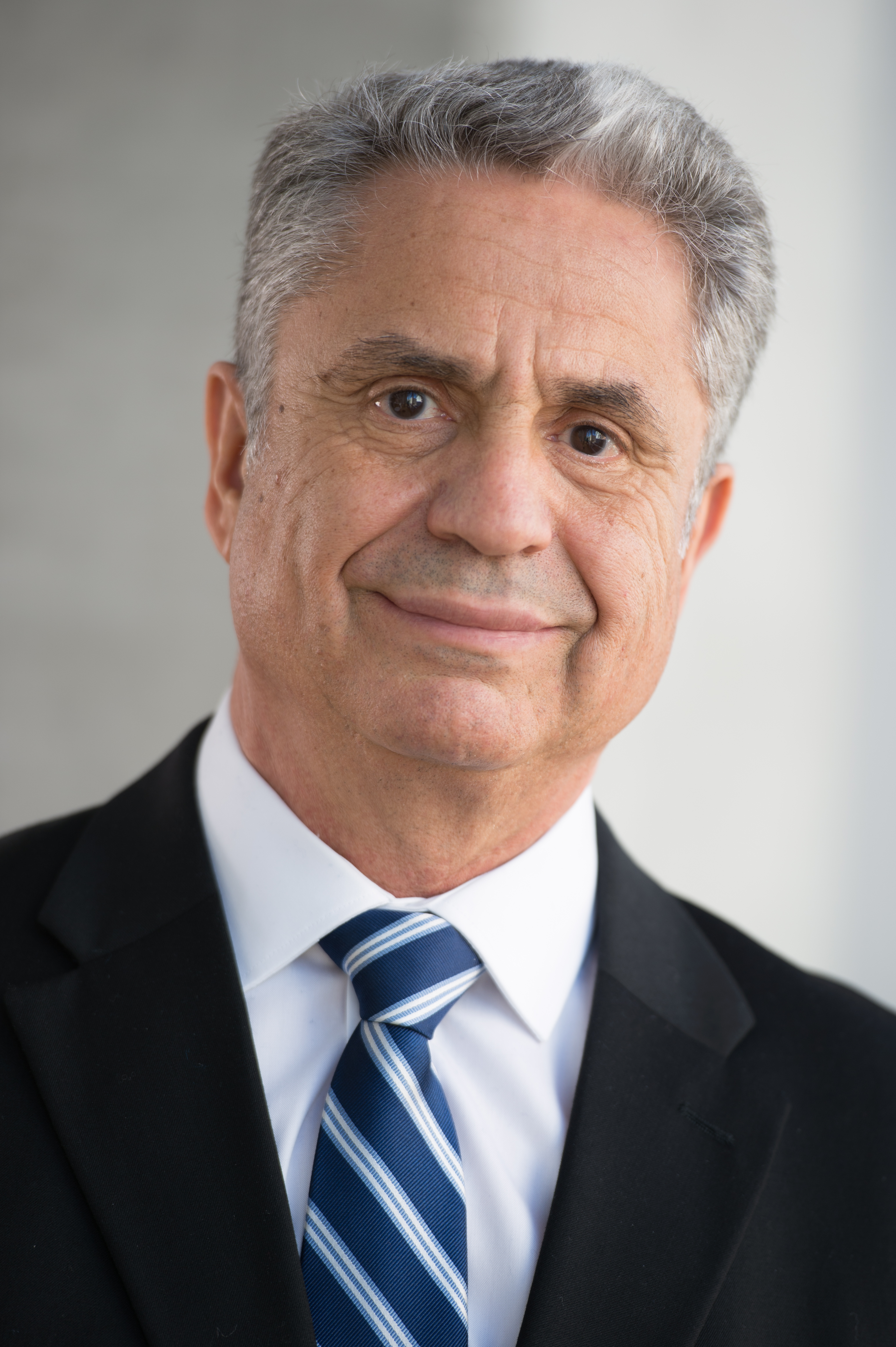 Professor Ahmed Louri