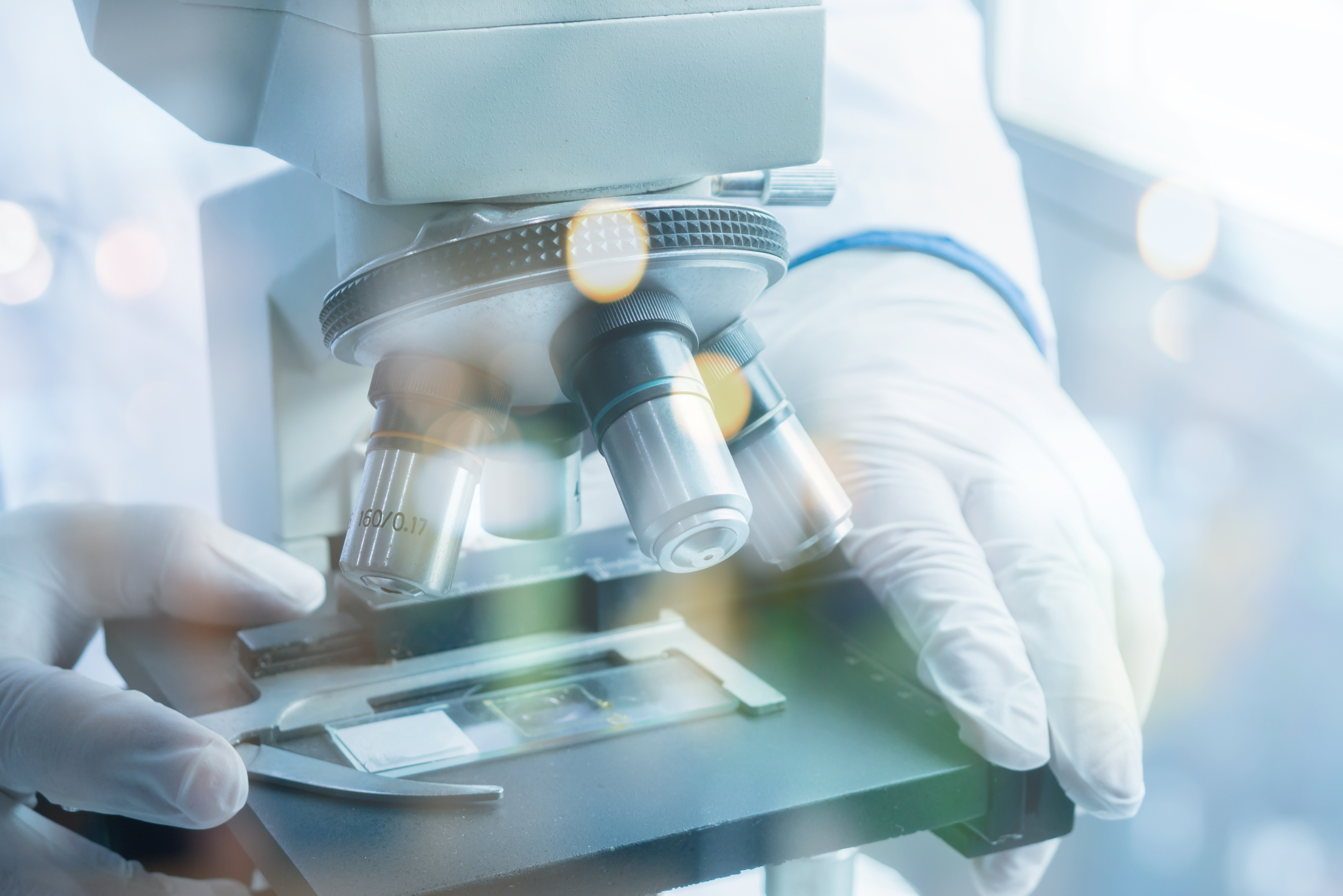 Analyzing something under a microscope