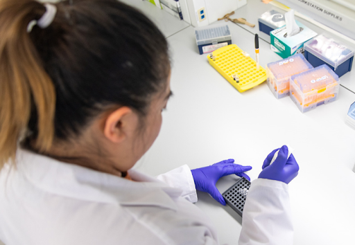 A female working in a lab