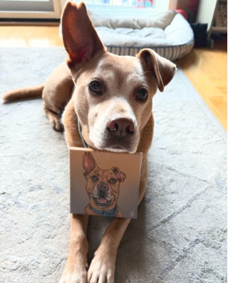Ringo
