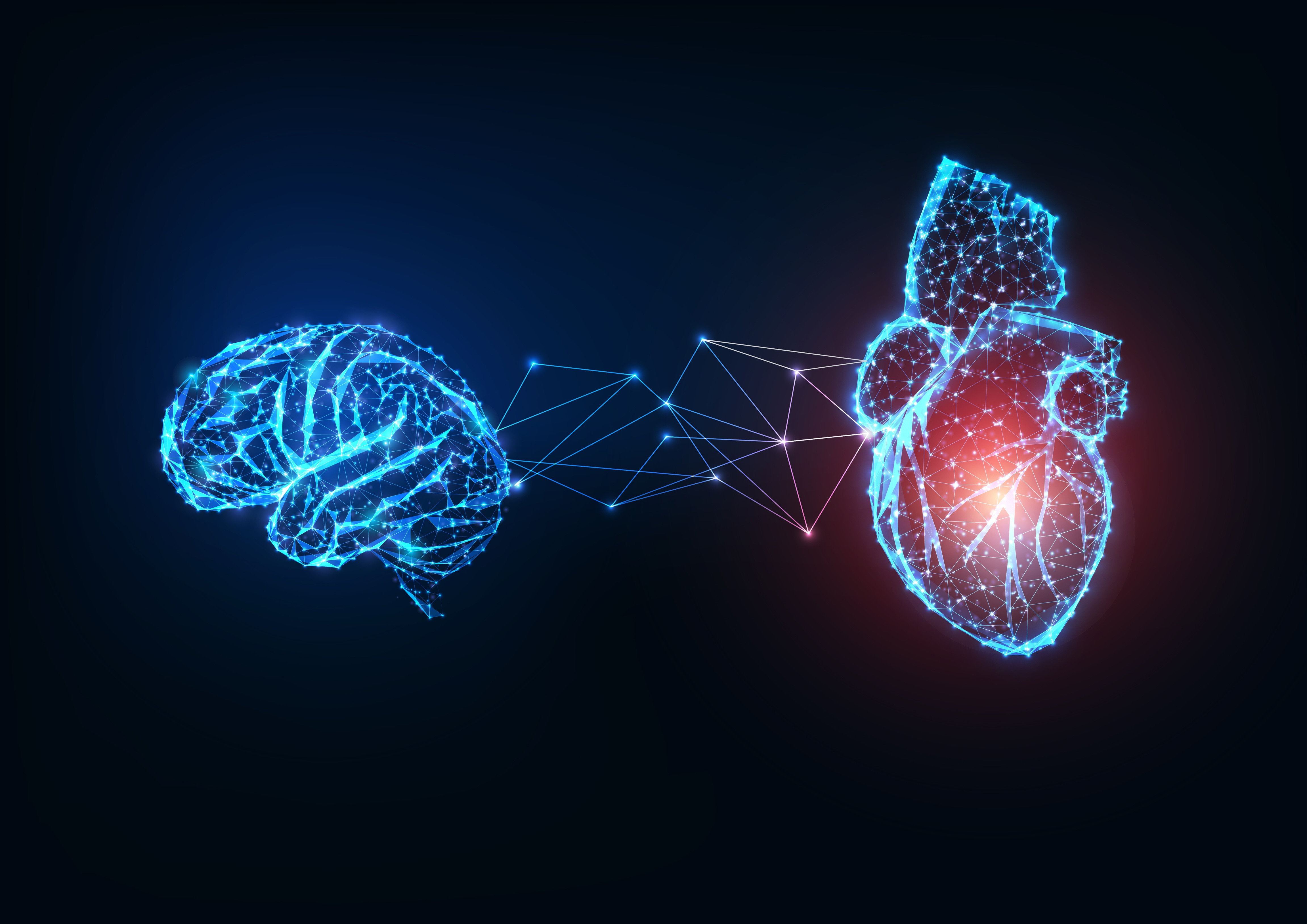 Illustration of the heart-brain connection