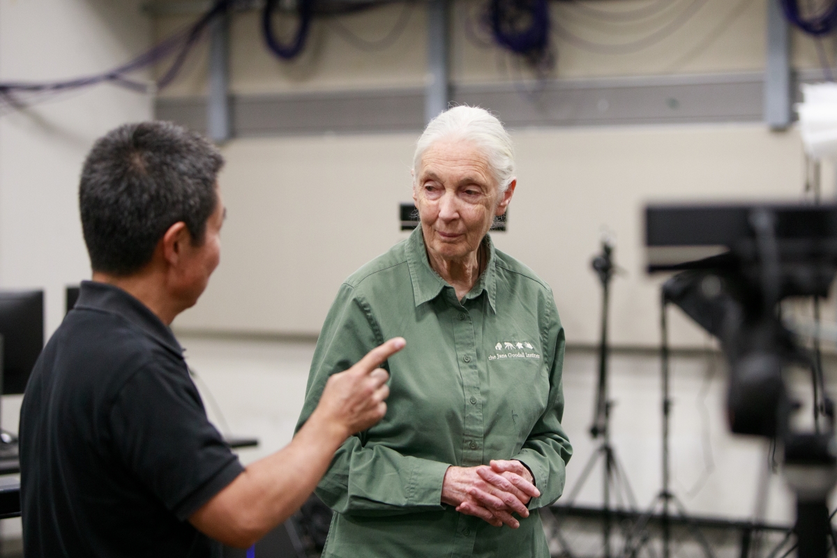 Photo of Jane Goodall