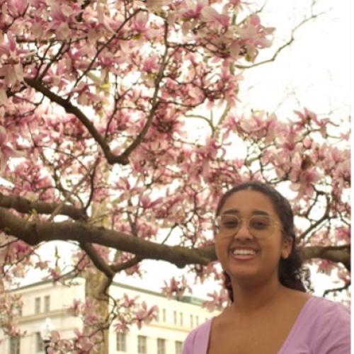 Student in pink top by a cherry blossom tree