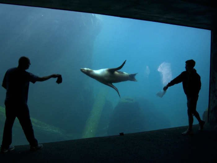 two people outside of sea lion enclosure
