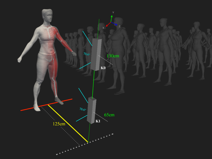 3D representation of a human body